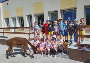 Alpaki w przedszkolu