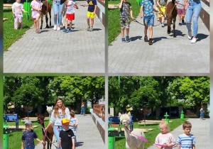 Alpaki w przedszkolu
