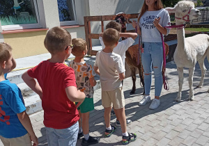 Dzieci słuchają ciekawostek na temat życia alpak.