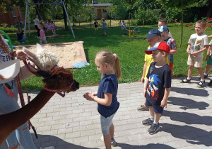 Przedszkolaki karmią alpaki.