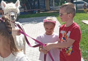 Spacer z alpakami po ogrodzie przedszkolnym.