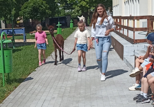 Spacer z alpakami po ogrodzie przedszkolnym.