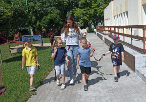 Spacer z alpakami po ogrodzie przedszkolnym.