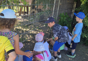 Pobyt w Gospodarstwie Agroturystycznym „Cicho-Sza” w Niedźwiedziu.
