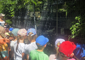 Pobyt w Gospodarstwie Agroturystycznym „Cicho-Sza” w Niedźwiedziu.