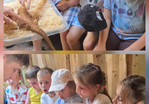 Pobyt w Gospodarstwie Agroturystycznym „Cicho-Sza” w Niedźwiedziu.