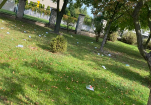Udział w akcji „Sprzątanie Świata”